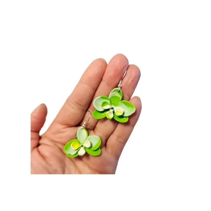 Orquídeas